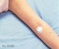 No.36（白）使用例