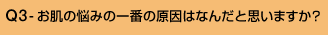 Q3-お肌の悩みの一番の原因はなんだと思いますか?