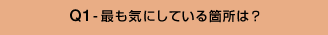 Q1-最も気にしている箇所は?