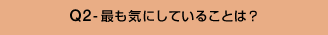 Q2-最も気にしていることは?