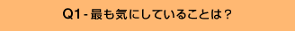 Q1-最も気にしていることは?