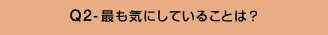 Q2-最も気にしていることは?