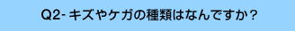 Q2-キズやケガの種類はなんですか?