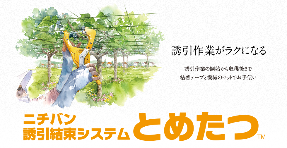 誘引作業が軽くなる 毎年訪れる誘引作業を軽くする「とめたつ™」に更に軽くなる機器とテープが仲間入りしました。作業やお好みに合わせてお選びいただけます。 「とめたつ™ライト」「とめたつ™テープ 環境配慮タイプ」新登場！ ニチバン誘引結束システム とめたつ™