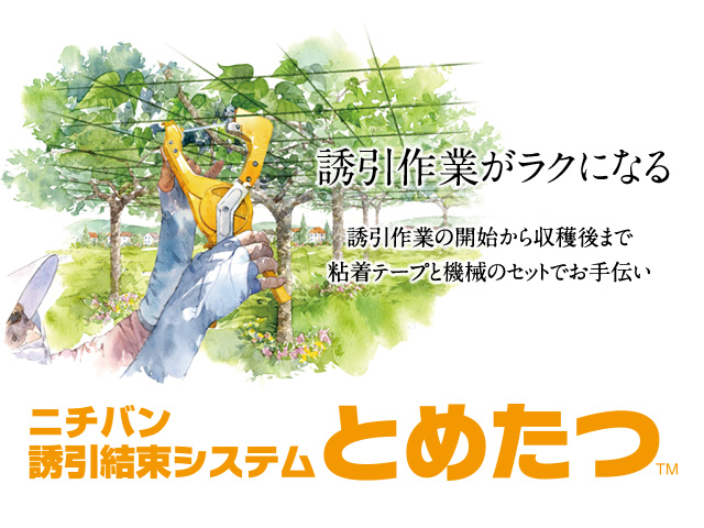 誘引作業が軽くなる。「ニチバン 誘引結束システム とめたつ™」。毎年訪れる誘引作業。あの負担を少しでも軽減したいという現場のお声に応え、機器とテープの同時開発を実現しました。誘引作業が軽くなる「とめたつ™」を是非お試しください。