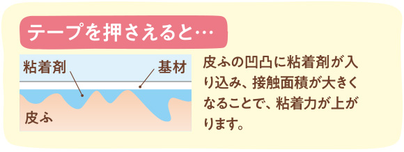 テープを押さえると… 皮ふの凹凸に粘着剤が入り込み、接触面積が大きくなることで、粘着力が上がります。