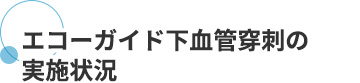 エコーガイド下血管穿刺の実施状況