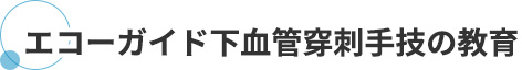 エコーガイド下血管穿刺手技の教育