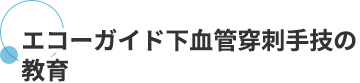 エコーガイド下血管穿刺手技の教育