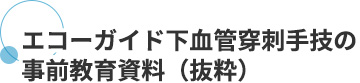 エコーガイド下血管穿刺手技の事前教育資料(抜粋)