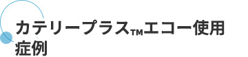 カテリープラス™エコー使用症例