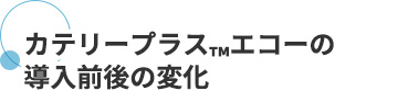 カテリープラス™エコーの導入前後の変化