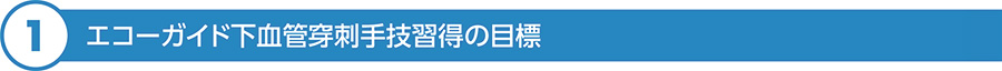 エコーガイド下血管穿刺手技習得の目標