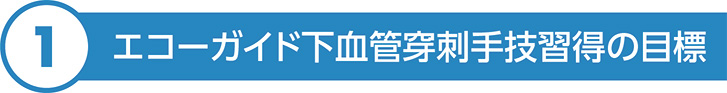 エコーガイド下血管穿刺手技習得の目標