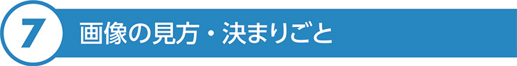 画像の見方・決まりごと