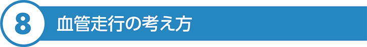 血管走行の考え方