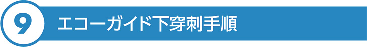 エコーガイド下穿刺手順