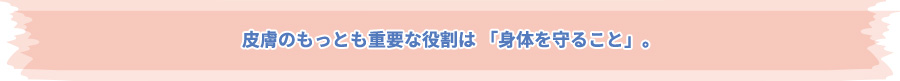 皮膚のもっとも重要な役割は 「身体を守ること」。