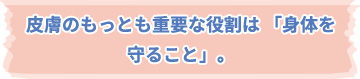 皮膚のもっとも重要な役割は 「身体を守ること」。