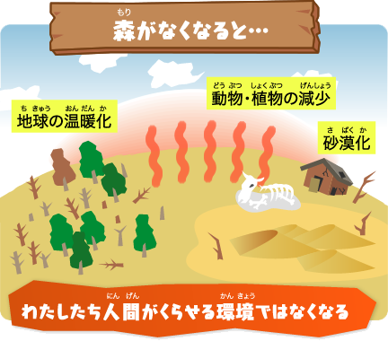 森がなくなると…わたしたち人間がくわせる環境ではなくなる