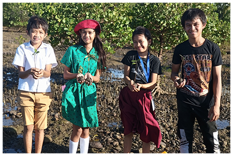 マングローブの種を持っている子供たちの写真