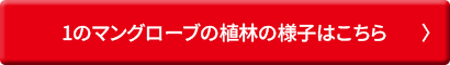 1の植林の様子はこちら
