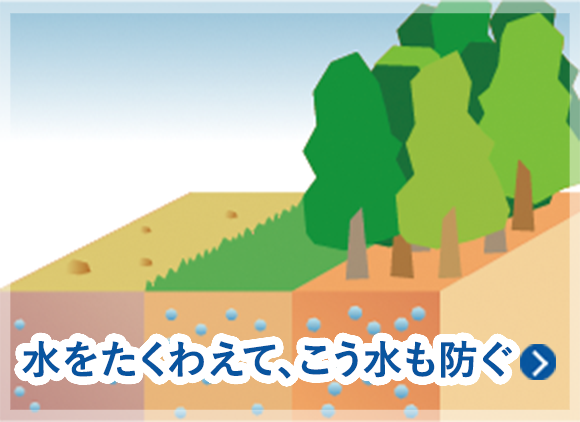 水を蓄えて、こう水も防ぐ