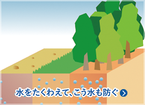 水を蓄えて、こう水も防ぐ