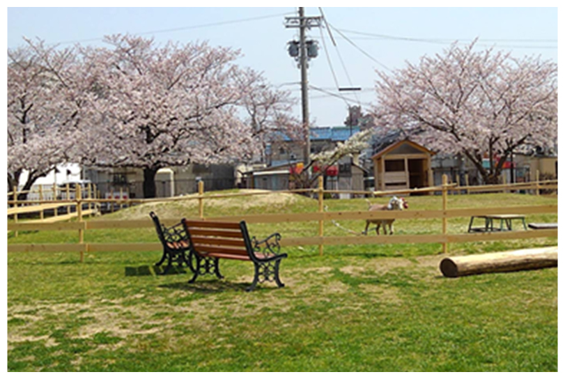 東運動場の写真