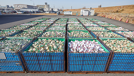 2026年1月19日に回収した巻心の写真