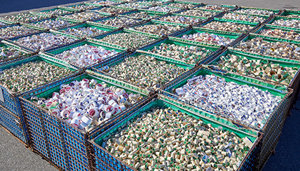 集まった巻心の全体写真