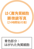 透湿性比較イメージ図